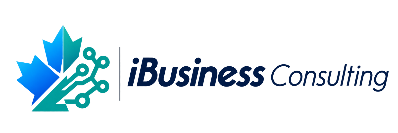 iBusiness Consulting
